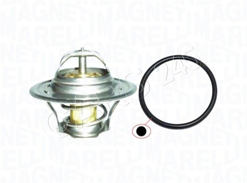 Magneti marelli coolant - magneti,